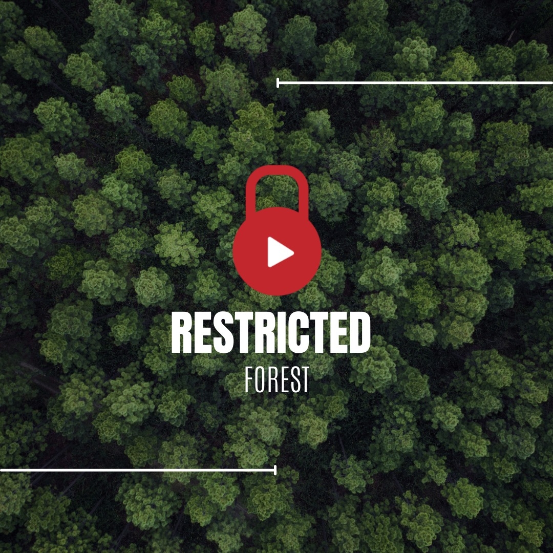 Restricted Forest Festival