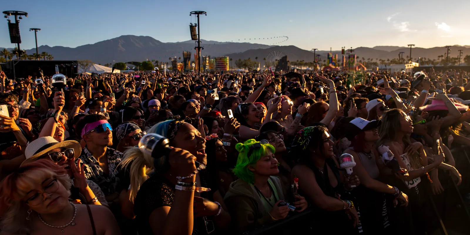 Coachella Festival